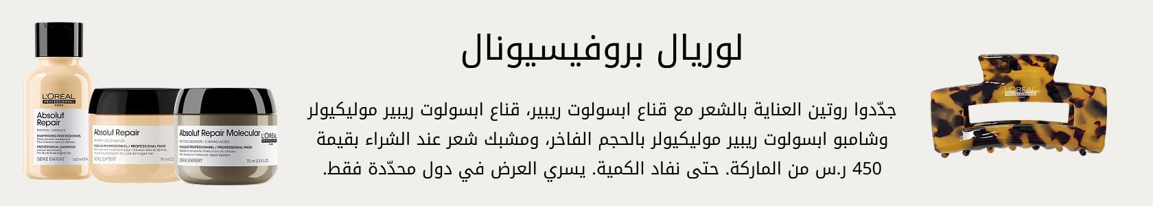Professionnel GWP PDP+PLP WEB AR KSA
