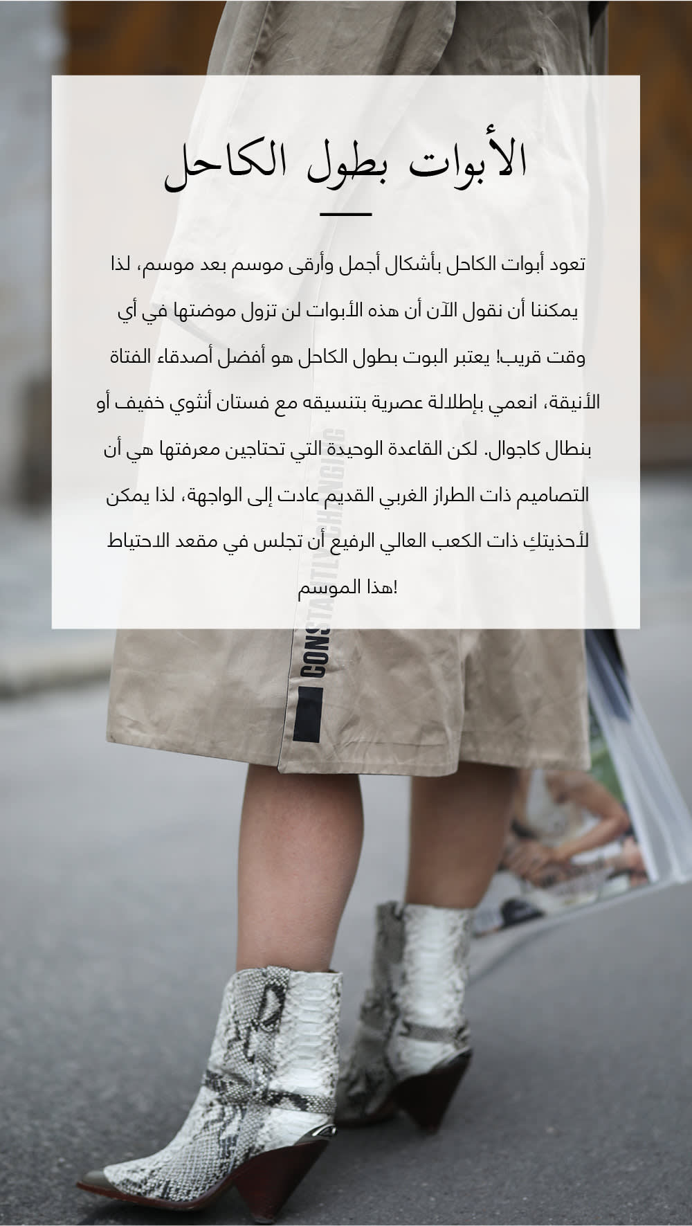 WEB components in order2