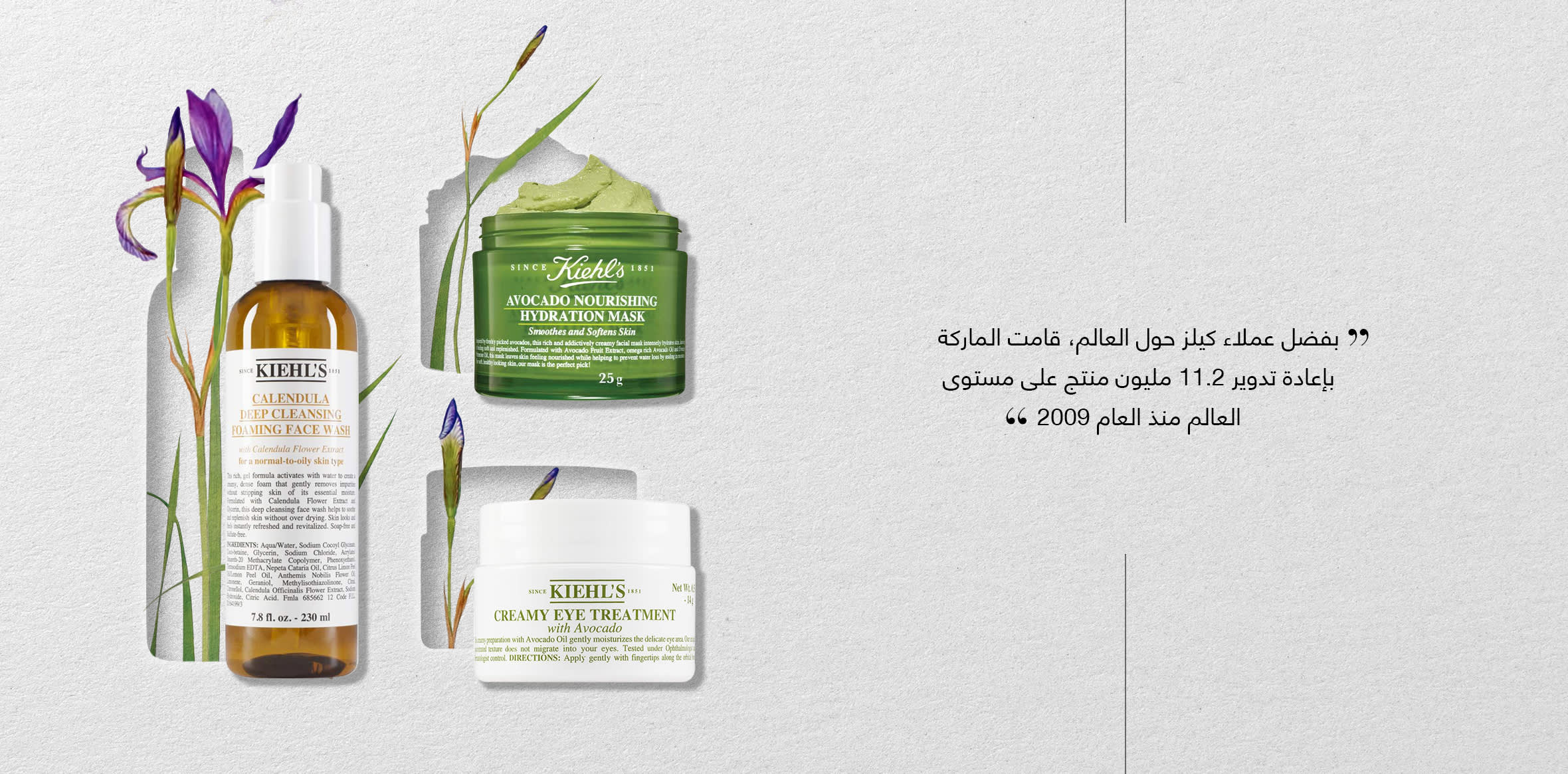 Element 1 Web AR wk12