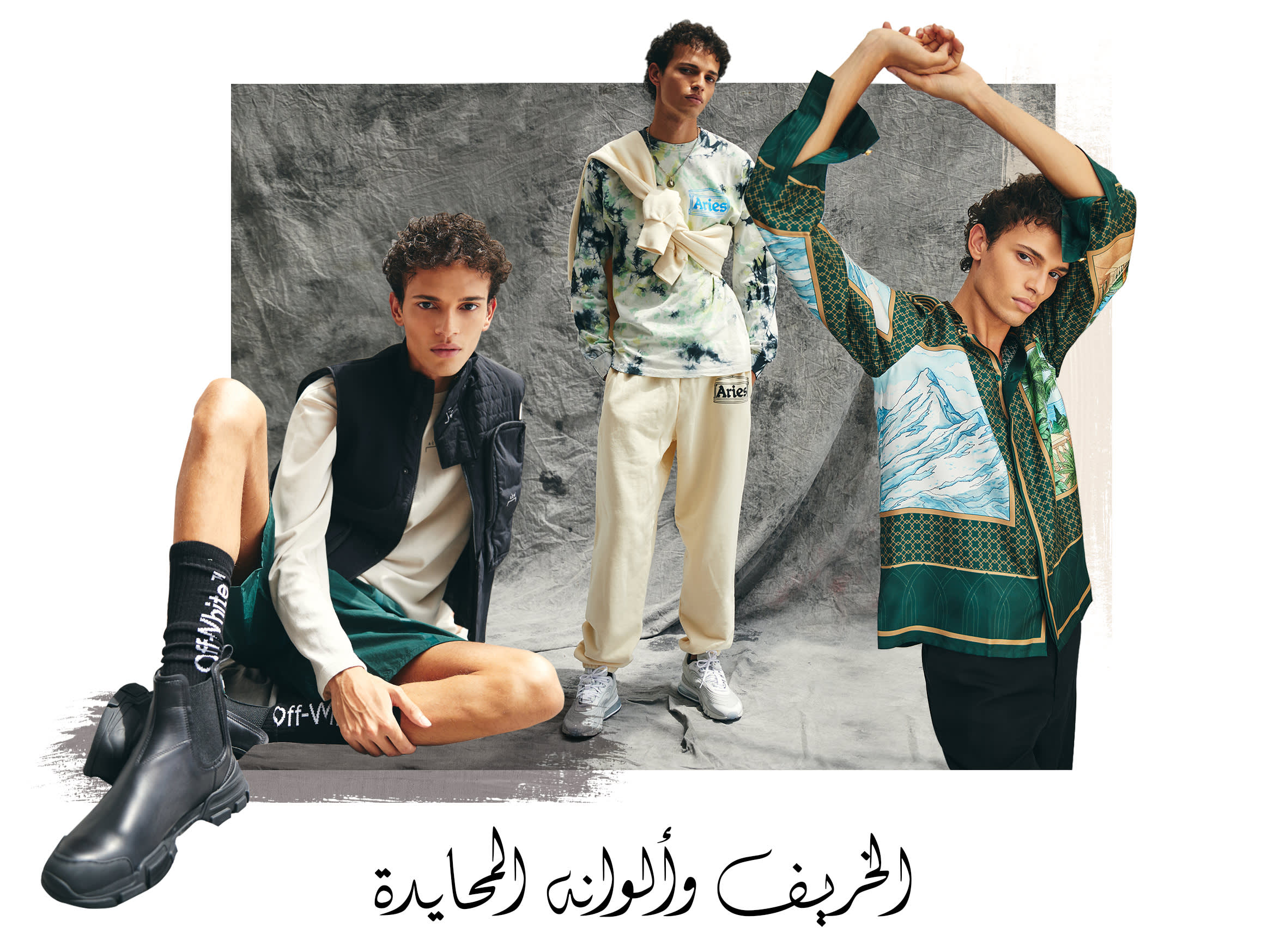 Main Hold web - Ar-37