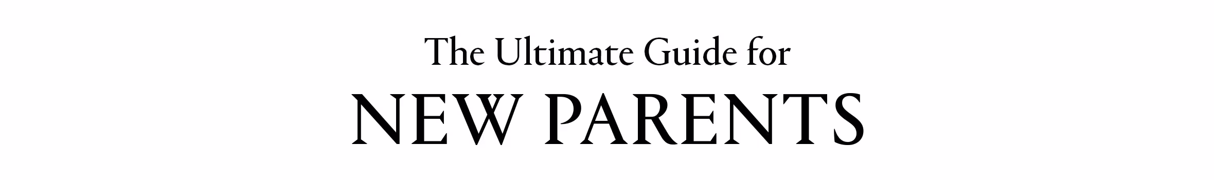 Web title EN
