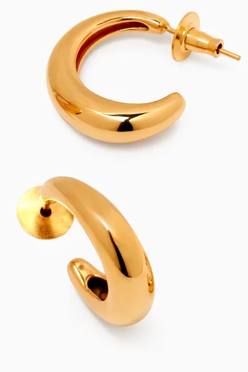 Petite Hoop Earrings in 22kt Gold-plated Bronze