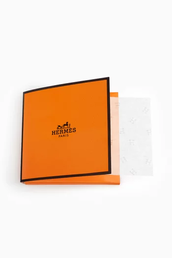 مناديل التنشيف Hermès Plein Air