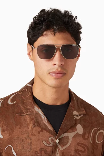 Aviator Sunglasses in Metal