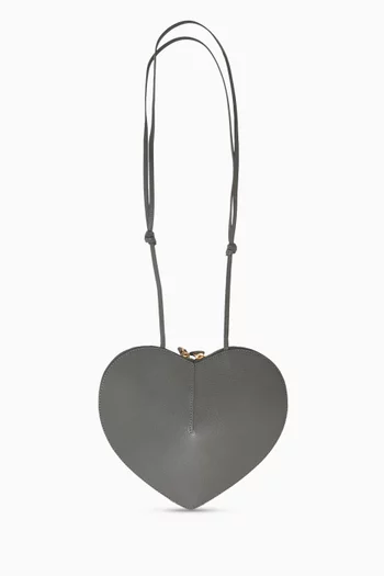 Le Coeur Crossbody Bag in Suede