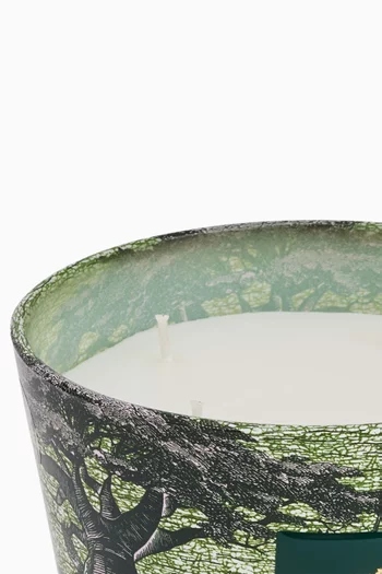 شمعة سيكرد تريز توبا معطرة بحجم ماكس 10