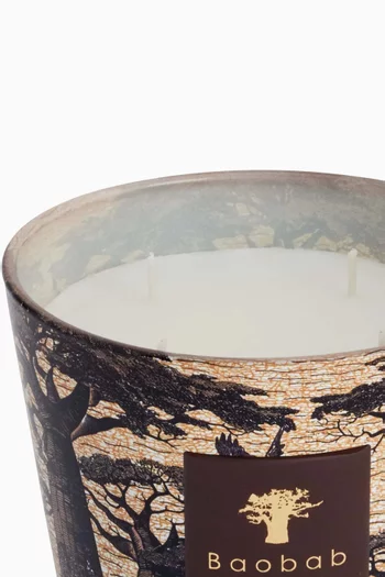 Sacred Trees Mankono Scented Candle Max 10