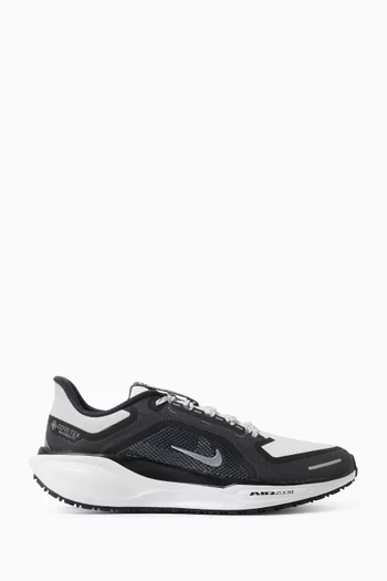 Air Zoom Pegasus 41 GORE-TEX Sneakers
