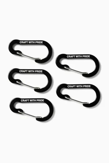 Carabiners, Set of 5