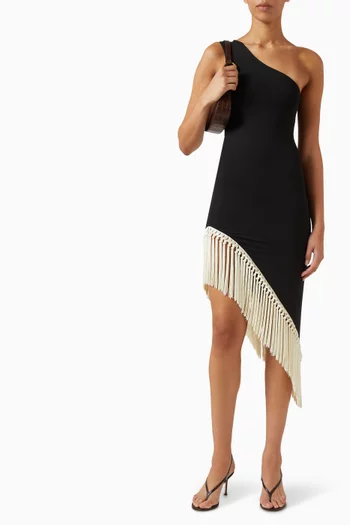 Yacare Fringe Dress