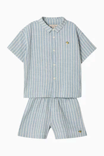 Elliot Shorts in Cotton Seersucker