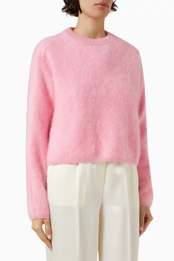 Brushed Crewneck Sweater in Cashmere
