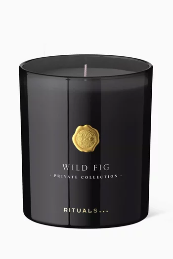 Wild Fig Scented Candle, 360g