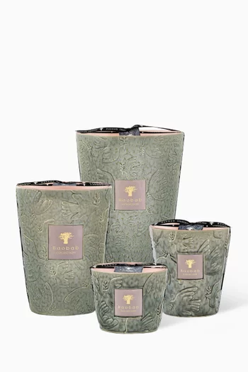 Paz Colombe Candle, 3000g