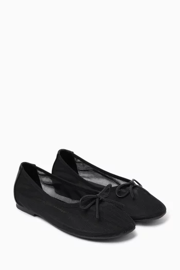Laurie Ballerina Shoes in Mesh & Leather