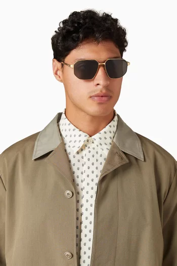 Aviator Sunglasses in Metal