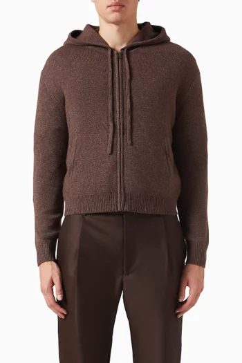 Isac S Logo Zip Hoodie in Cashmere
