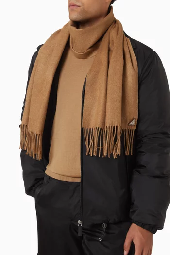 Fringe Trim Scarf in Silk & Cashmere