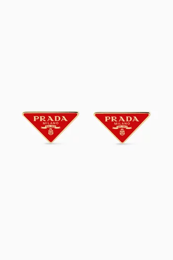 Enamelled Earrings in Metal
