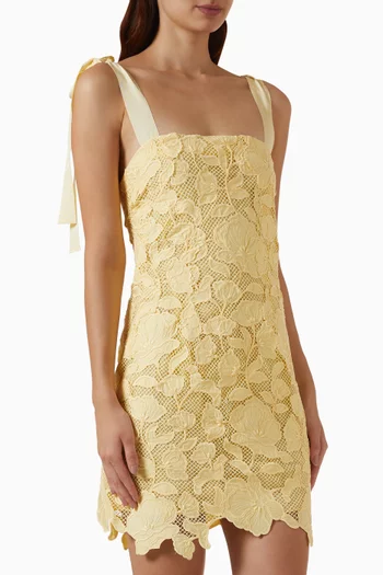Marigolde Embroidered Mini Dress