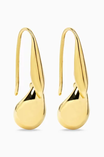 Drop Pendant Earrings