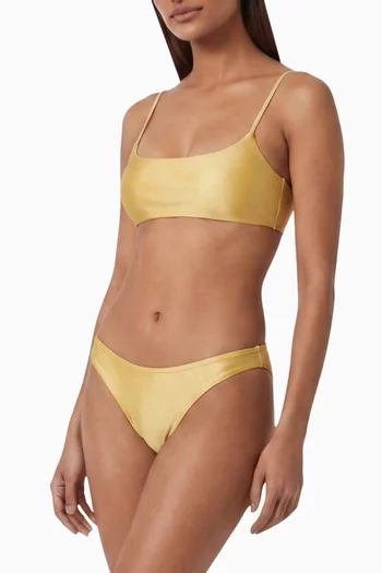 Most Wanted Bikini Briefs