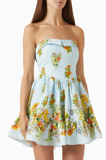 Amya Mini Dress