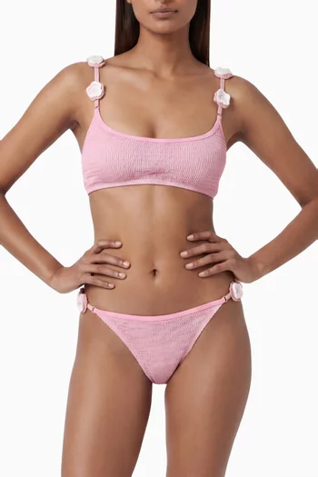 Paradiso Crop Bikini Top