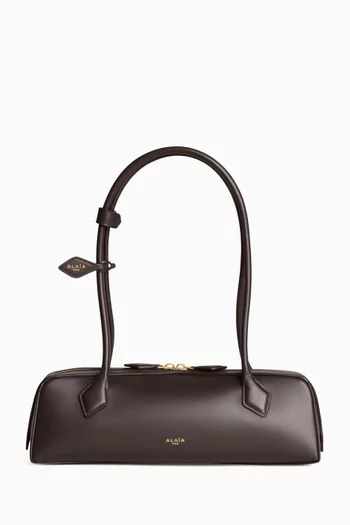 Medium Le Teckel Shoulder Bag in Calfskin