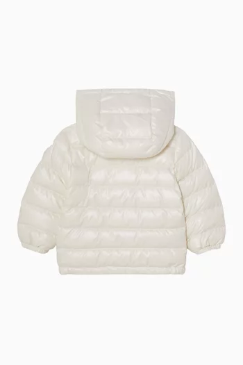 Icarus Down Jacket