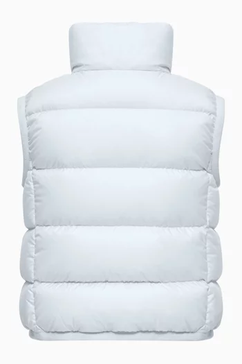 Badia Down Vest