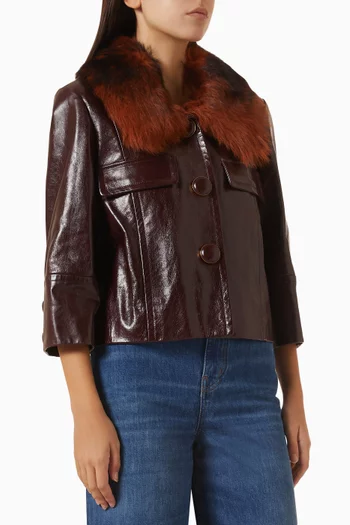 Shearling Collar Crop Jacket in Leather