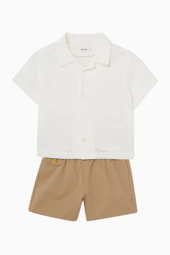 Shorts in Cotton Gabardine