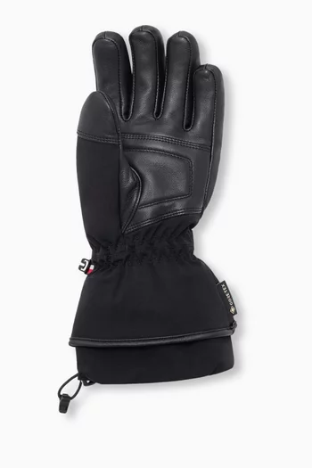 Ski Gloves