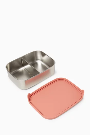 Stainless Steel Lunchbox