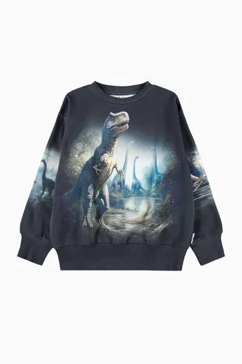 Mattis Dinosaur Print Sweatshirt in Organic Cotton