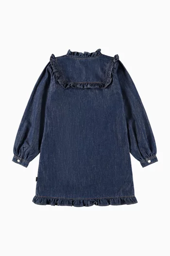 Chaka Dress in Denim