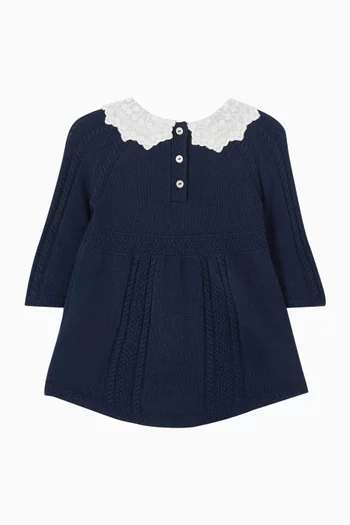 Embroidered Collar Dress