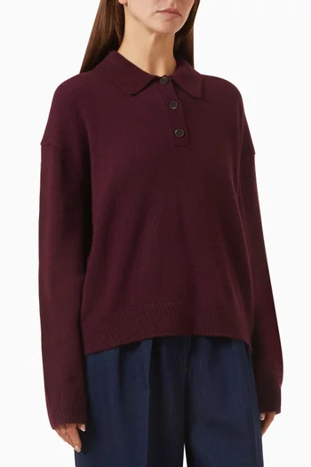 Lee Polo Sweater in Cashmere