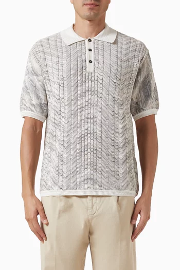 Zig Zag Polo Sweater in Knit