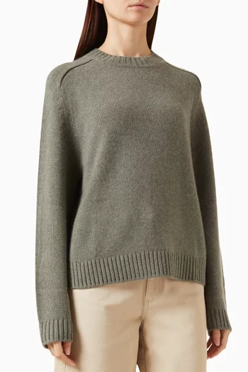 New Jill Crewneck Sweater in Cashmere