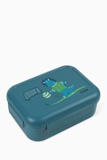 Dinosaur Lunch Box