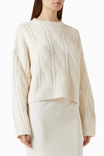 Tristan Crewneck Sweater in Cashmere