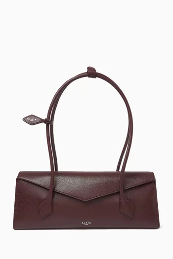 Medium Le Teckel Flap Bag in Leather