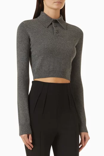 Crop Polo Top in Cashmere
