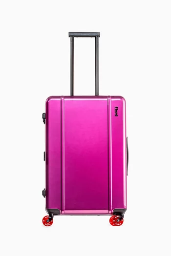 Check-in Suitcase