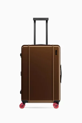 Check-in Suitcase