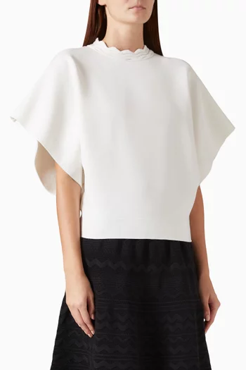 Fanta Rick-rack Collar Top in Knit