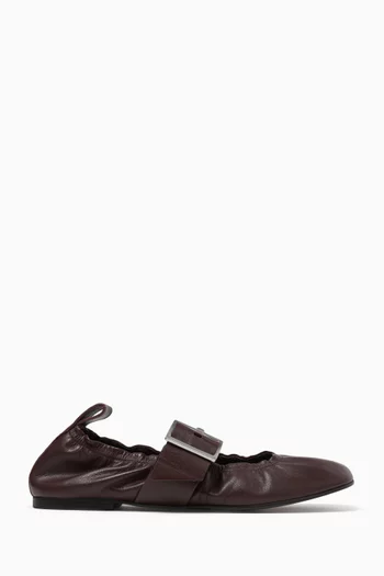 Sarea Ballerina Flats in Smooth Leather