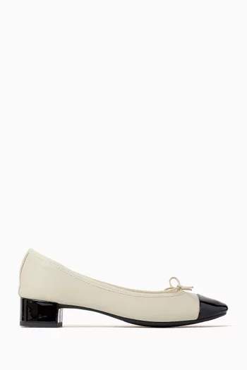 Alba Ballet Flats in Leather